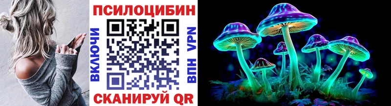 Купить  Новомосковск  Галлюциногенные грибы Magic Shrooms 
